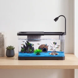 Small Acrylic Fish Tank Starter Kit with LED Filter