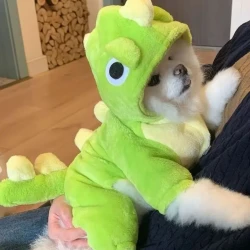 Small Dinosaur Dog Clothes for Autumn Winter