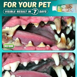 Pet Toothpaste for Fresh Breath and Tartar Control