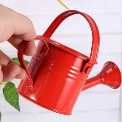 Metal Watering Can for Garden and Flower Care