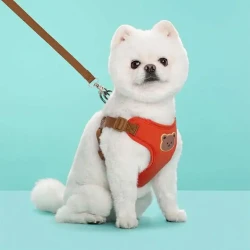 Breathable Teddy Bear Print Dog Harness Set