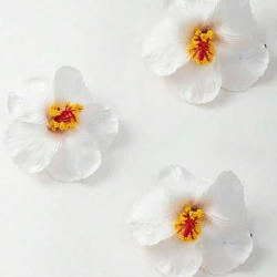 Hibiscus Hawaiian Party Artificial Flower Decor Set