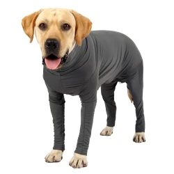 Grey Dog Recovery Suit Easy to Wear and Quick Dry