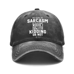 Humorous Sarcasm Quote Adjustable Baseball Cap