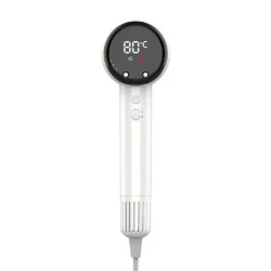 Negative Ion Home Hair Dryer with Temperature Control