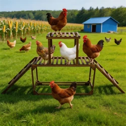 Wooden Chicken Coop Climbing Frame with Swing
