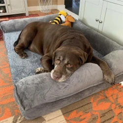 Extra Large Orthopedic Dog Bed with Washable Cover