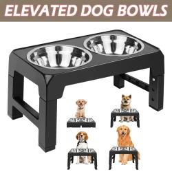 Adjustable Elevated Dog Bowl Stand with Stainless Steel Bowls