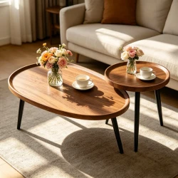 Set of 2 Stylish Mid Century Coffee Tables