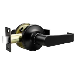 Rectangular Passage Door Handle Easy Installation