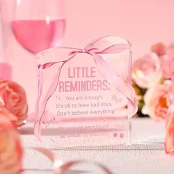 Pink Bow Inspirational Acrylic Desk Sign Decor
