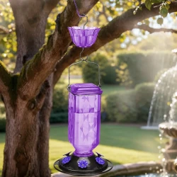 Hummingbird Feeder with 6 Feeding Ports for Gardens